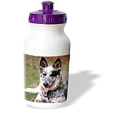 Dogs Australian Cattle - Australian Cattle Dog - Water Bottles