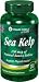 【Sea Kelp・シーケルプ】