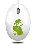 Jetion - Galet - Souris Optique filaire - 800 dpi - Vert