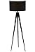 Director Floor Lamp, 48.5