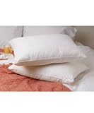 Crowne Plaza National Sleep Products Conformance Supreme Queen Size Pillow