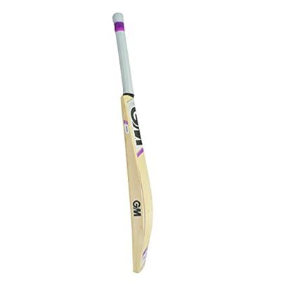 GM Mogul F2 404 English Willow Cricket Bat SH