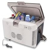 Wagan 10 Liter Thermo-Electric Fridge/Warmer with Built-In Radio