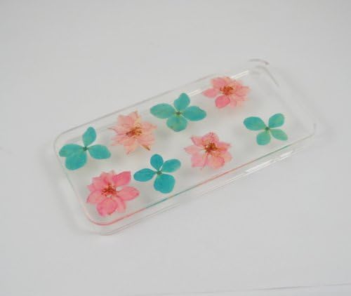 Pressed Flower Iphone 5s Case, Uokwiwi® (Beautiful Garden Style) Fashionable Orange Daisy Little White Flower and Leaf Real Flowers Case for Iphone 5/5s