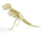 Tinysaur Mini Dinosaur Skeleton Model - T-Rex