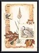 Art Poster Metal Framed Print - Wetland Goose - Artist: Gladding- Poster Size: 20 X 14