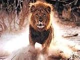 African Odyssey Season 1