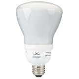 Globe 4113701 15-Watt Dimmable R30 Compact Fluorescent Indoor Flood Light Bulbs, 2 Pack #0113701