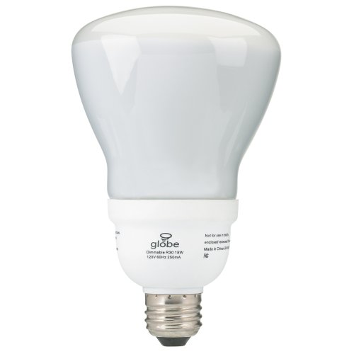 Globe Electric 