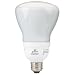 Globe Electric 