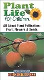 Plant Life for Children : All About Plant Pollination : Fruit, Flowers and Seeds