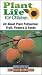 Plant Life for Children : All About Plant Pollination : Fruit, Flowers and Seeds