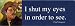 Customworks - I Shut My Eyes Gaugan - Panoramic Magnets