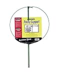 31a7uTeZK1L. SL160  Plant Supports