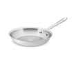 All-Clad Brushed Stainless Professional 10 Fry Pan