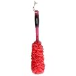 Earth Therapeutics Feng Shui Body Brush, Fire, Mesh, 1-Count (Pack of 2)