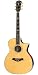 Taylor Guitars DMSM Dave Matthews Signature Model Grand Auditorium Acoustic Electric Guitar