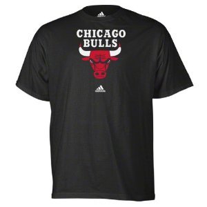Chicago Bulls adidas Black Primary Logo T-Shirt- Large
