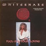 Fool for your loving