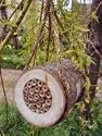 POLLINATING BEE LOG