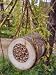 POLLINATING BEE LOG