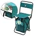 Cooler Bag Beach Chair