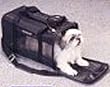 Deluxe Pet Carrier - Small / Black