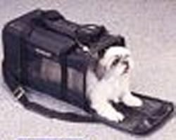 Deluxe Pet Carrier - Small / Black