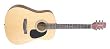 Takamine S35 Jasmine Acoustic Guitar (Natural)