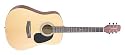 Takamine S35 Jasmine Acoustic Guitar (Natural)