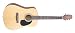 Takamine S35 Jasmine Acoustic Guitar (Natural)