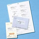 【SANWASUPPLY】郵便を受領者の個人情報を守るシュレッダーいらずの、レーザー用宛名シール（個人情報保護タイプ・20シート） TA-LPHOGO