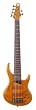 MTD Kingston Bass Guitar Z 6 String, Rosewood Fingerboard, Burled Maple