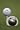 Tin Cup Groovy Golf Ball Custom Marker Alignment Tool