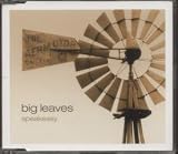 SPEAKEASY CD UK DELLORSO 2003
