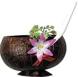 Coconut Cup