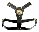 (Rosewood) Deluxe Bull Terrier Harness (Black)
