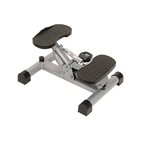 Lateral Balance Stepper with Digital Computer