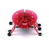 RedHexbug-Echo