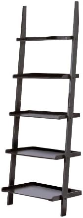 Contemporary Black Finish 5-Tier Ladder Book Shelf
