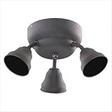 Thee Light Energy Star Ceiling Fan Light Kit Finish: Weathered Iron 31aCNQEl3lL. SL160 Thee Light Energy Star Ceiling Fan Light Kit Finish: Weathered Iron