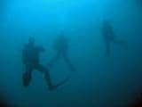 Wallmonkeys Peel and Stick Wall Decals - Divers - Removable Graphic