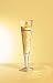 Champagne Glass, Champus, Sensuality, Designer Gold Silver Champagne Flute w/ Napkin in Gift Box