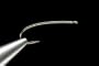 Daiichi 2X Long Bead Head Nymph Hook Straight Eye Curved Shank 25 Pkg.