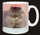 Review Advanta  / AMERICAN CURL CAT Coffee Mug