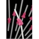 Pack of 12 Hen Party Willy Straws