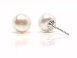 HinsonGayle 7-8mm White Button Cultured Pearl Stud Earrings (Sterling Silver)