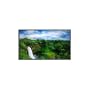 46IN Ws LCD 1920X1080 4000:1 P461 Dvi-d HDmi Blk with full Av