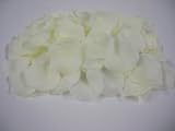 100 Ivory Large Premium Silk Rose Petals