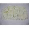 100 Ivory Large Premium Silk Rose Petals